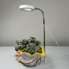 Ground-plugged Plant Light Timable Dimmable Angel Ring Full Spectrum Imitation