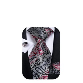 DiBanGu Men's Grey Red Paisley Tie with Pocket Square Cufflinks Formal Classic Paisley Necktie Wedding