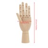 Women Hand Body Artist Model Jointed Articulated Wood Sculpture Mannequin