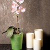Home Garden Ornaments Orchid Pots, Flower Planter - Decorative Semi