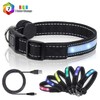LED Safety Dog Collars - USB Rechargeable 7 Changing Colors