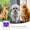 VOSAREA Inserto de Alimentación Lenta para Perros Pequeños, Cuenco para