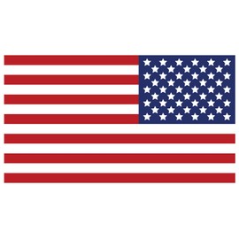 10 Pack American Flag Patch, 3.25" x 1.75" DTF Heat Transfer, Uniform Patches Durable, Washable, and Perfect for Uniforms, Shirts, and Jerseys | Hot Peel | Made in America (RWB Right Sleeve)