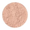 Max Factor Loose Powder Transparent