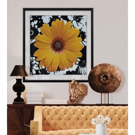 Renditions Gallery Black and Bloom I Yellow Sunflower Pictures Wall Decor Canvas Framed Floral Art Fine Giclee Prints Home Painting