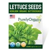Organic Lettuce Seeds (Heirloom Buttercrunch) - Approx 1500 Seeds -
