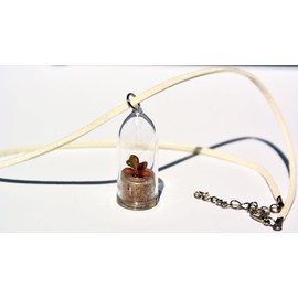 Flower Necklace Terrarium Live Succulent - Pinky - Live Cacti Succulent Plant Necklace Keychain- Living Plants Neckalce Terrarium Capsule - Boo-Boo Plant (Pinky, + 18" Necklace Suede White)