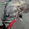 Berkley Gulp! SW Pulse Claw 3 Black Red Berry G2SQPC3-BLRDB