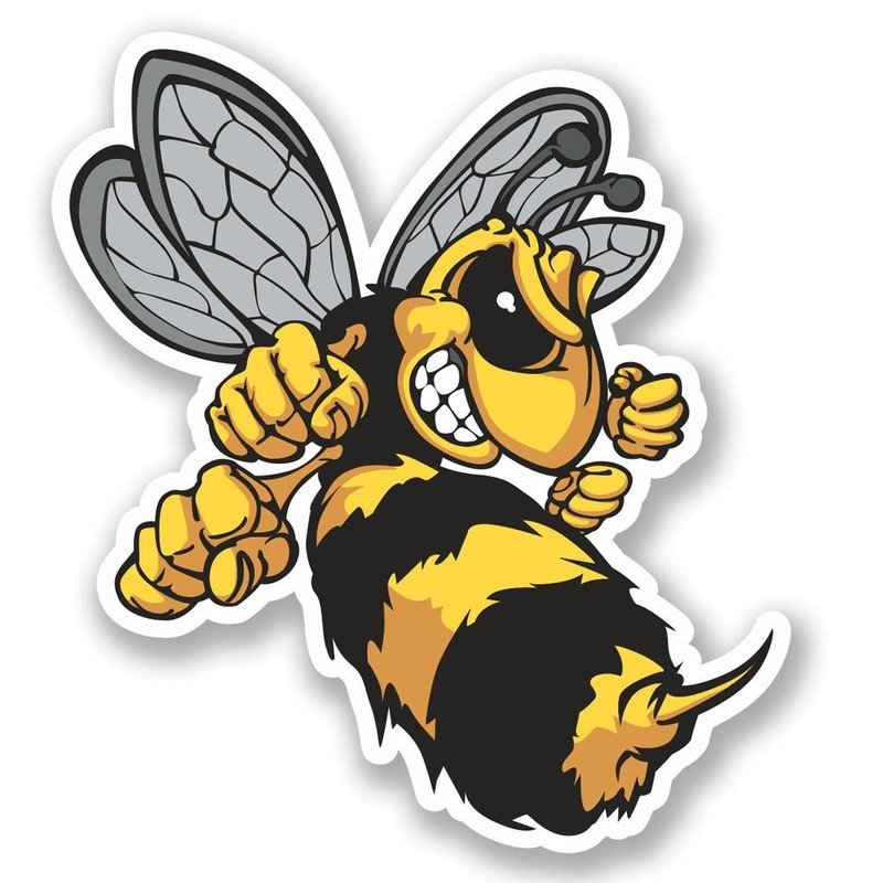2 x 10cm/100mm Wasp Bee Hornet Window Cling Sticker Car