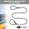 Petarea 5 FT Slip Lead Dog Leash, Heavy Duty Rope