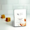 Marquette Perk | Candles + Wax Melts - Size: Triple