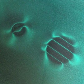 Flux Detector Film (magnets4you) - Makes Magnetic Fields Visible | 150 x 150 mm