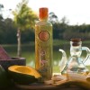 Ritual Botánico Shampoo Y Tratamiento Ultra Reparador Viral