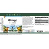 Ginkgo 4:1-450 mg (100 Capsules, ZIN: 520212) - 3 Pack