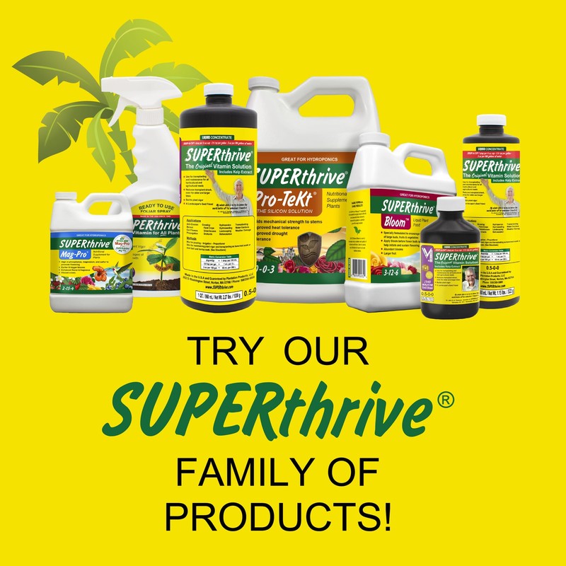 SUPERthrive The Original Vitamin Solution - Liquid Concentrate, May Add