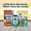 Blue Buffalo True Chews Natural Chewy Cat Treats, Made in