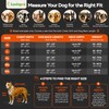 LovinPet UPF 50+ Dog Sun Protection Shirt for Medium and