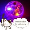 WANAONE 3pcs Light Up Cat Balls, LED Flashing Ball, Motion