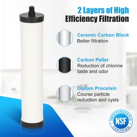 FRC06 Cartridge, FRC06 Filter Replacement for Franke Still Pure Under-Sink Filtration System, Filter Cartridge Compatible with Franke FRCNSTR/FRC06 and FRCNSTR100/FRC06FRC06 Filters (2 PACK）