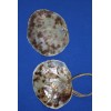 Salty Pelican Drilled Hole Saddle Oysters Large Size Range 4"