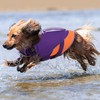 Queenmore Dog Life Jacket,Dog Life Vest for Swimming Boating,Life Jackets