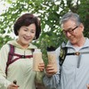 식사대용 아침대용 곡물 정가네 국내산 천마 20곡 영양한끼 돼지감자 찰보리