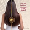 Tio Nacho Ginseng Shampoo with Royal Jelly, Herbal Hair Growth