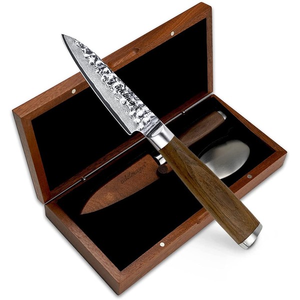 Adelmayer® Damascus Kitchen Knife, 20 cm, Hand Polished According to Traditional Solinger Art – Extremely Sharp, Robust Blade Made from 67-Layer Japanese Damascus Steel – Ergonomic Walnut Handle with Gift Box