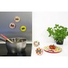 Pebbly 99-9033F Strawberry Kitchen Timer