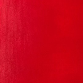 Liquitex 220730 Basics Acrylic Paint, 13.5-oz Bottle, Primary Red, 13 Fl