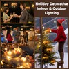 West Ivory 5 feet 20 LED String Fairy Light w/Pink
