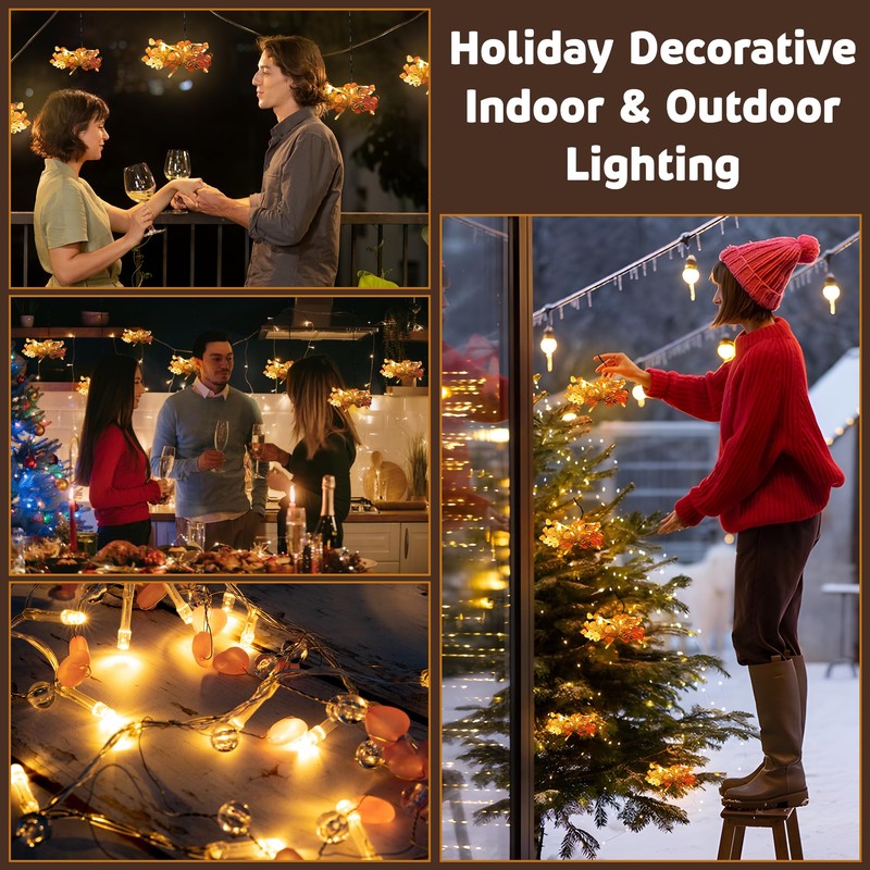 West Ivory 5 feet 20 LED String Fairy Light w/Pink