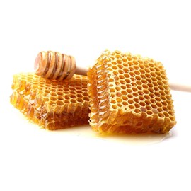Stockins Pure Honey Comb 16 oz Amish