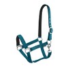 Start Adjustable Horse Headcollar - Nylon Headcollar with Padding -