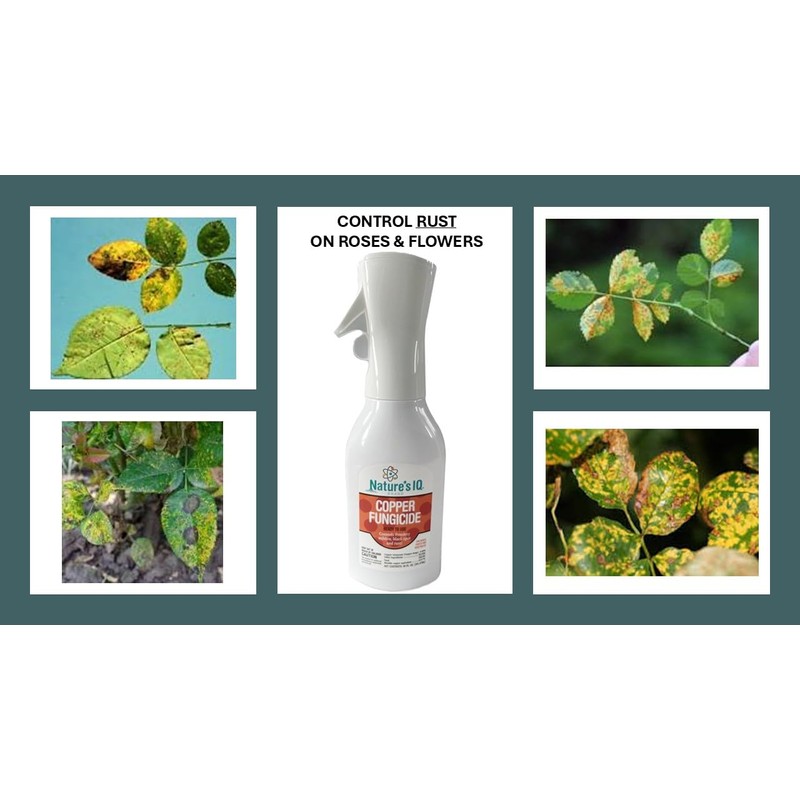 Nature's IQ Copper Fungicide. Innovative Spray Mist Technology. Controls powdery