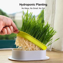 YUMINGUHC Cat Grass Planter (No Seeds Included) Wheatgrass Planting Trays Hydroponic Cat Grass Growing Kits for Indoor Cats Soilless Organic Nursery Box Pet Grass Pot (F)
