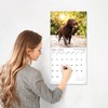 RED EMBER Labs 2025 Wall Calendar 12 Month | 12"