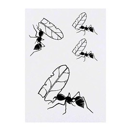 4 x 'Ant Carrying Leaf' Temporary Tattoos - Water Resistant, Skin-Safe, Non-Toxic Transfers, Mixed Sizes (TO00000409)