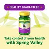 Spring Valley Vitamin B6-100mg, 250 Tablets (Pack of 1), Boxed