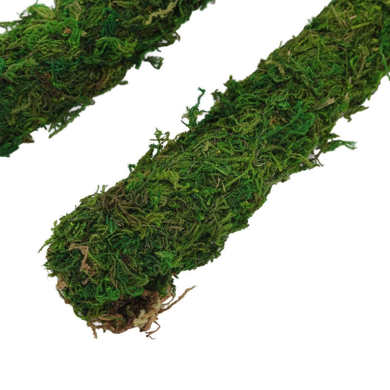 Moss Pole Bendable Safe Moss Plant Rod Plant Support Gardening