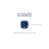 Silvershake 1.2 ctw 5 mm Cushion Shape Created Blue Sapphire