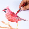Cra-Z-Art Crayones de 96 quilates en caja abatible con sacapuntas