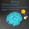 4.8Lbs 1000 PCS Blue Glow in The Dark Rocks for