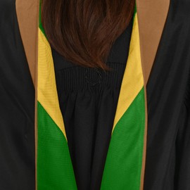 Endea Graduation Masters Hood for Business, Accounting, Commerce, Industrial, Labor Relations, College Degrees - Unisex (Drab/Green/Gold)