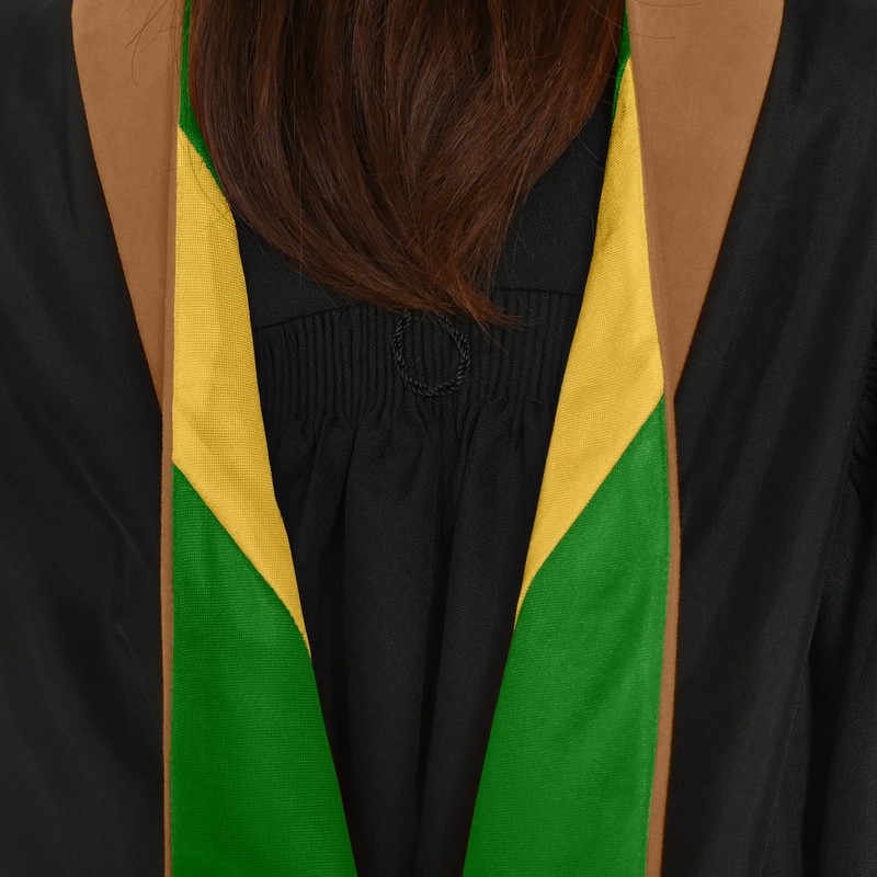 Endea Graduation Masters Hood for Business, Accounting, Commerce, Industrial, Labor