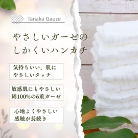 Shikakui Handkerchief, Tanaka Gauze Gentle Gauze, 100% Cotton, Easy to Dry Square, Approximately 8.3 x 8.3 inches (21 x 21 cm)