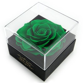 Rosa conservada, flores para mujeres, mamá, esposa, novia, regalo decorativo de peonías reales para Día de la Madre, San Valentín, boda, fiesta, cumpleaños, aniversario (verde)