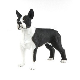 Safari Ltd. | Boston Terrier | Best in Show Collection | Toy Figurine for Boys & Girls