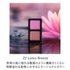 Kanebo Eye Color Duo 22