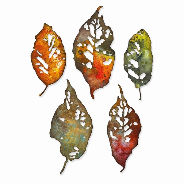 Sizzix Thinlits Die Set 5PK Leaf Fragments by Tim Holtz,